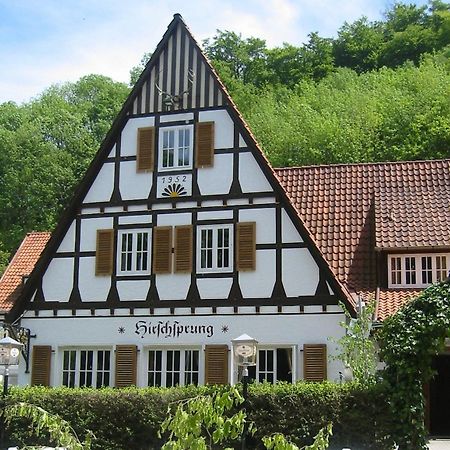 Landhaus Hirschsprung Детмольд Екстер'єр фото